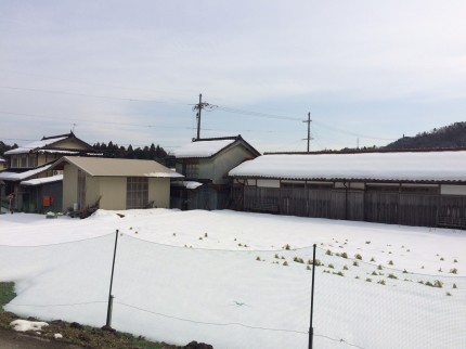 豊岡市_雪