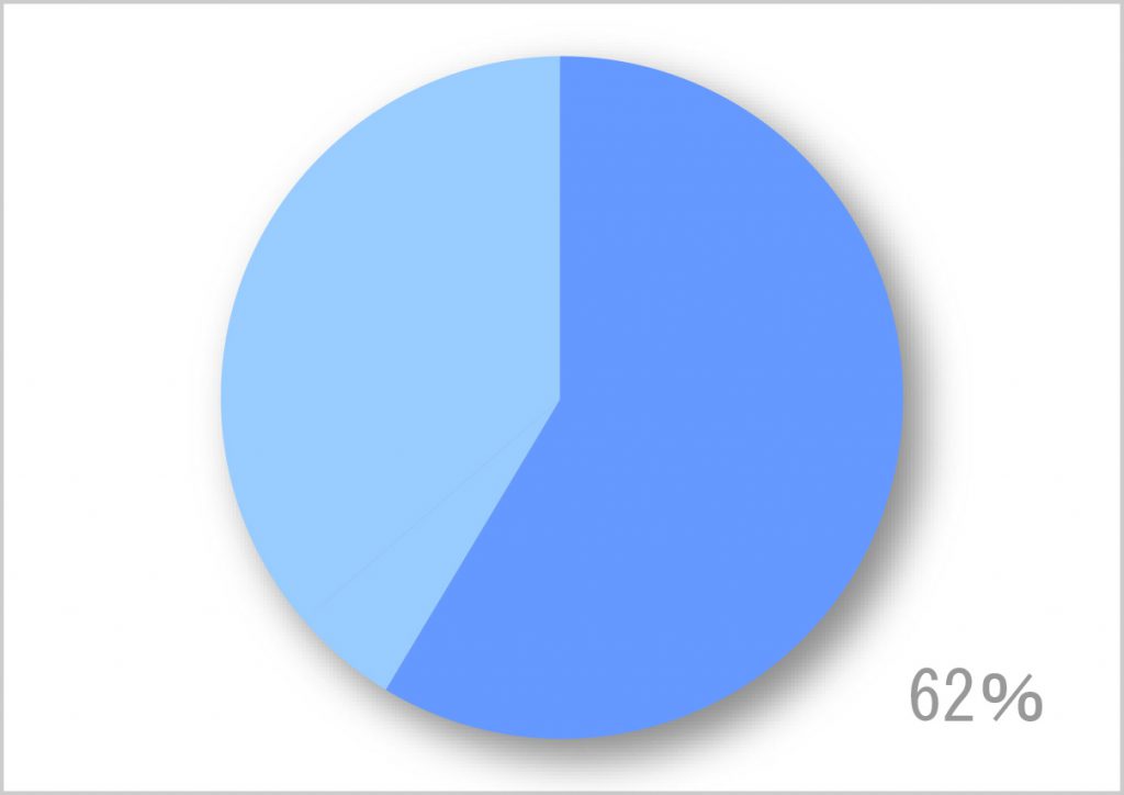 Google_ストリートビュー_円グラフ_02